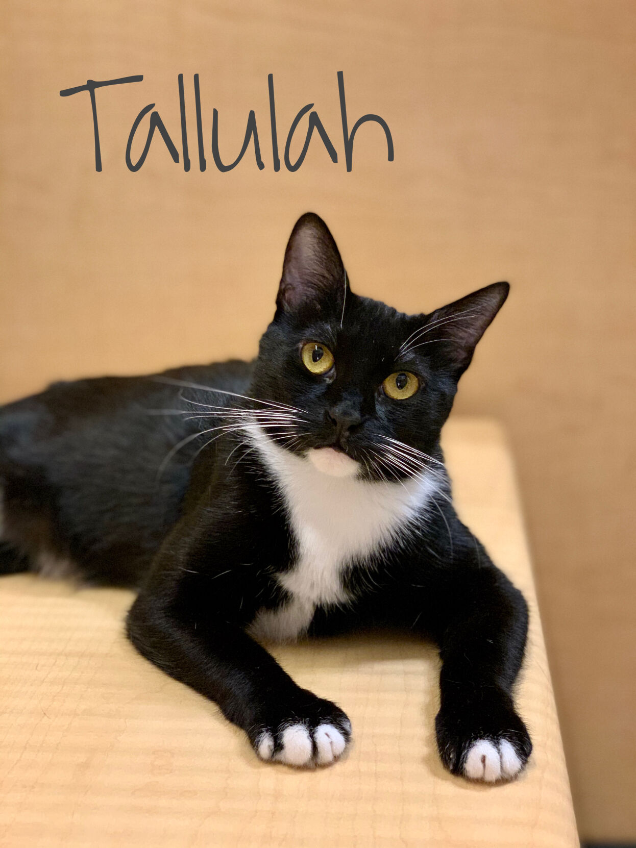 Tallulah
